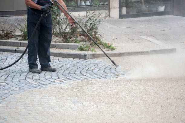 Animal Enclosure Cleaning in Bayou Vista, LA